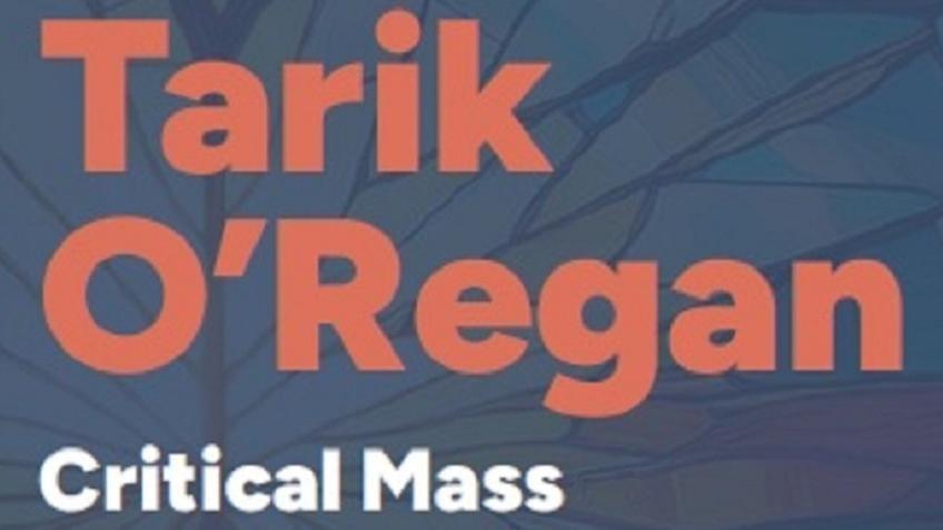 Can you help us with recording the 'Critical Mass'