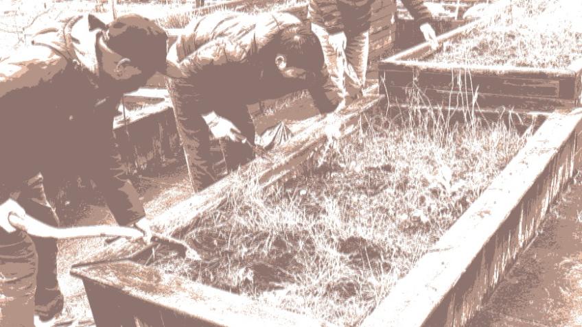 Gardening for Wellbeing