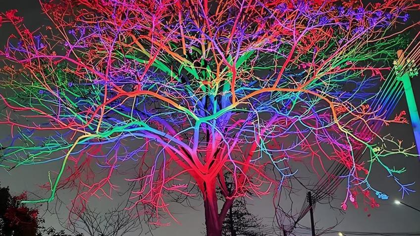 Wistow village Christmas lights