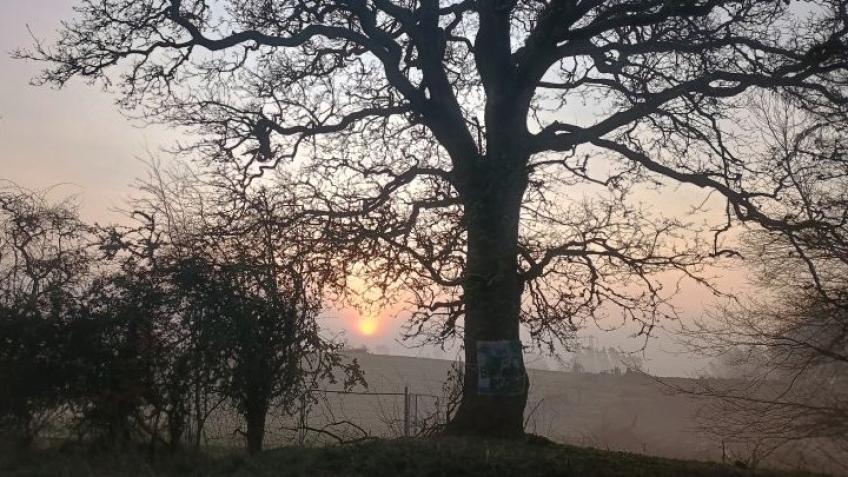 Save Paisley's Green Space