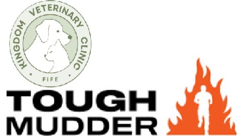We are running Tough Mudder!