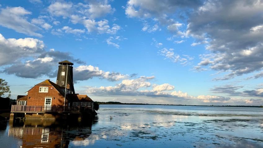 Fund 365 days of seawater testing - SQIRT