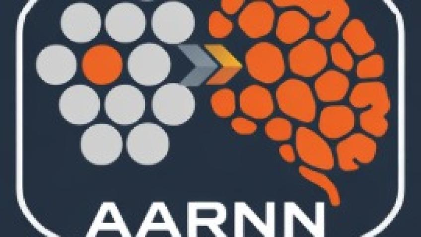 NeuralMimicry's AI Project - AARNN