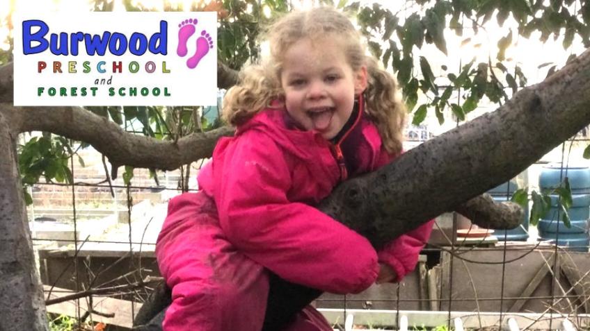 Growing Climate Awareness at Burwood Preschool