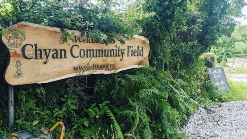 Chyan Community Field Growth