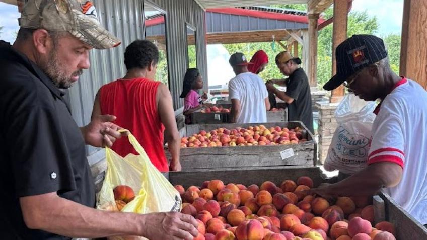 Unity Gardens Nurture and Nourish Program