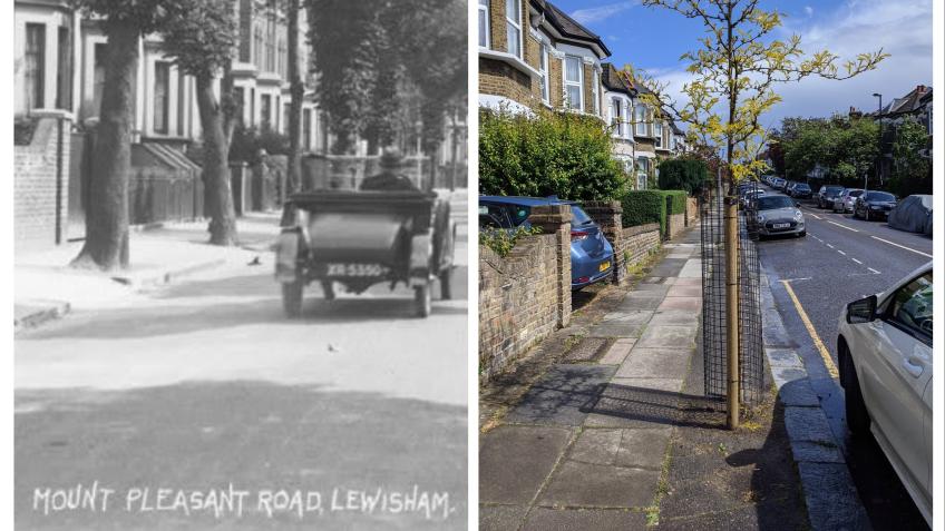 Tree planting 2026-27 on Mount Pleasant Road, SE13