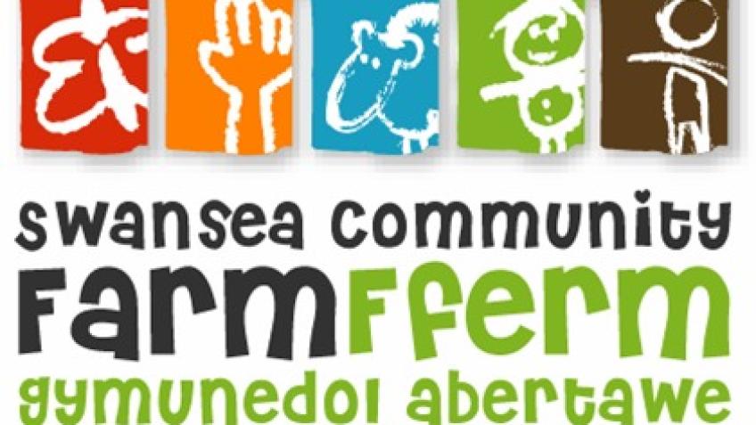 Running the 2026 Swansea Half Marathon
