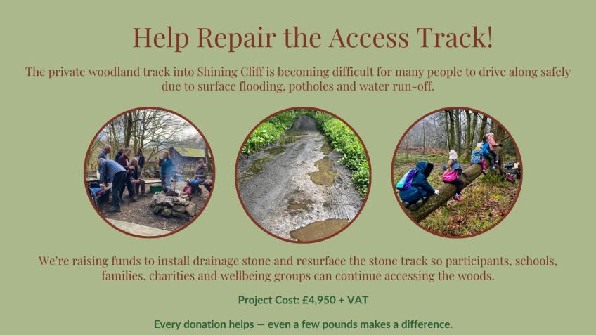 Woodland Track Repairs