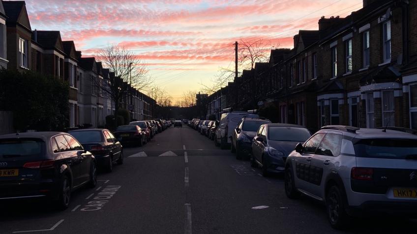 Street Tree for Arica Road