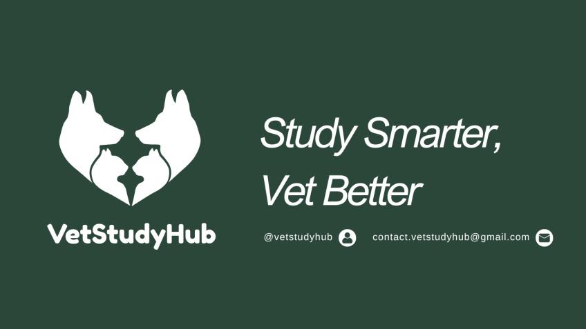 VetStudyHub: A New Study Tool for Vet Students