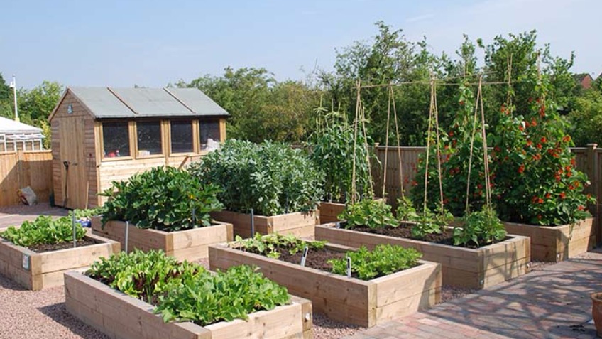 The Eating Place - Community Kitchen Garden