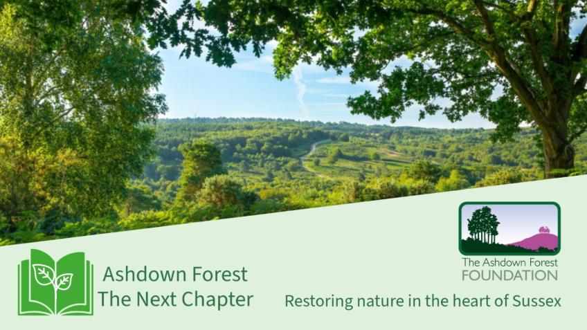 Ashdown Forest: The Next Chapter