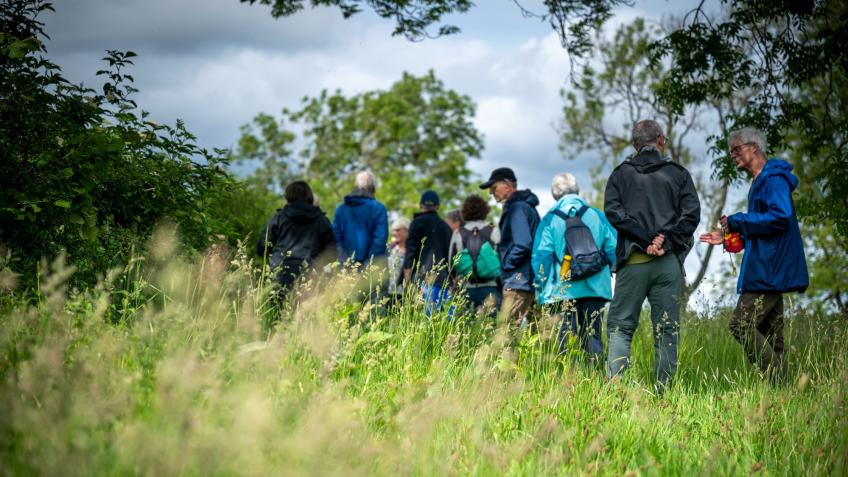 Help nature flourish – Yorkshire Rewilding Network