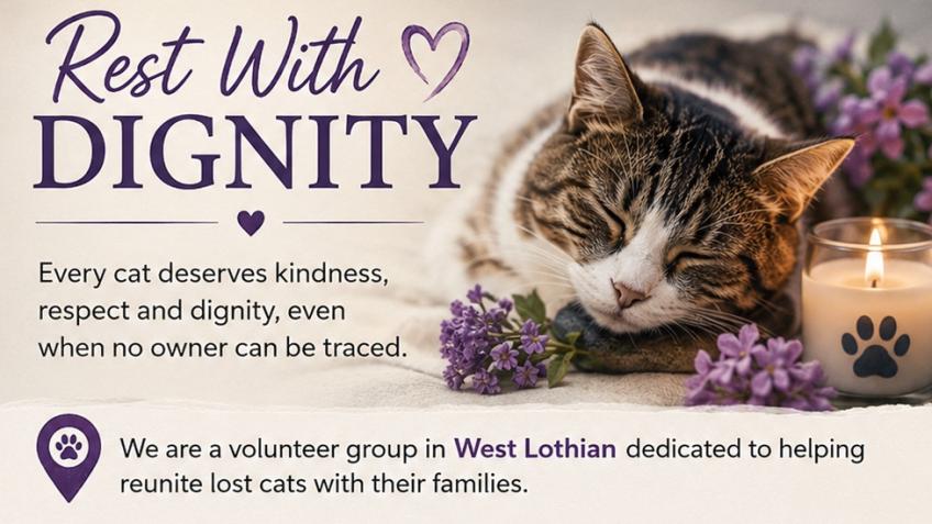Rest with dignity