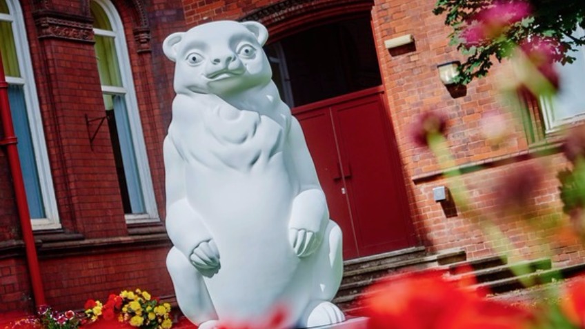 Bringing the Bear to Boldmere