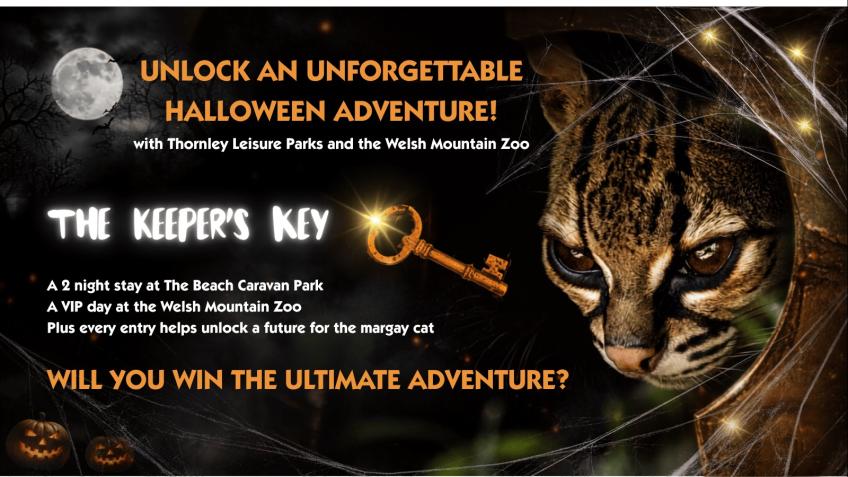 Win the Ultimate Halloween Weekend Zoo Adventure!