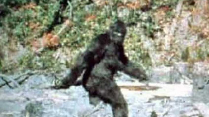 Northern Michigan Bigfoot Documentary