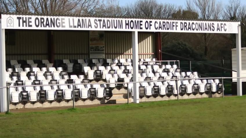 Cardiff Draconians Community Fan Zone