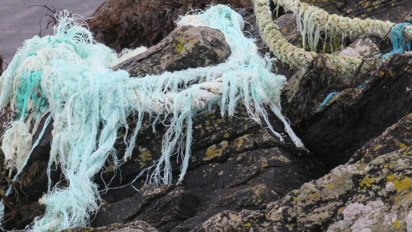 Scotland's Fishing & Aquaculture Pollution Problem
