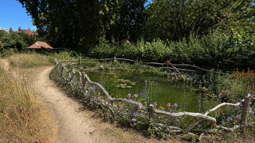 Community Wildlife Pond Project