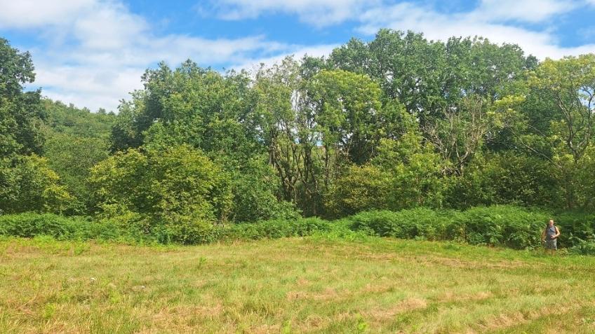 Indigenous Lifestyle Farm and Retreat