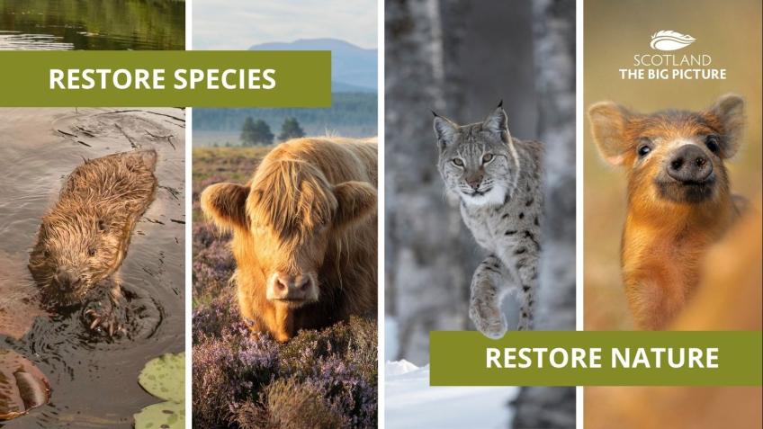 Restore Species, Restore Nature