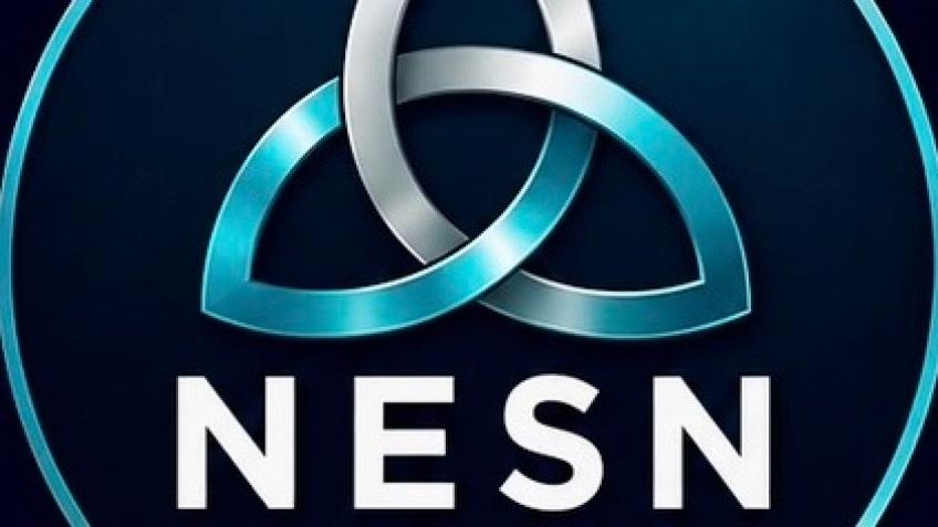 North East Safeguarding Network (NESN)