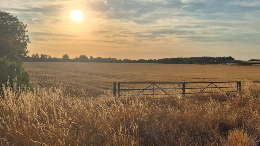 Help Protect Wallingford’s Future