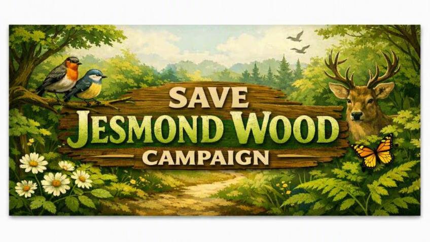 Save Jesmond Wood