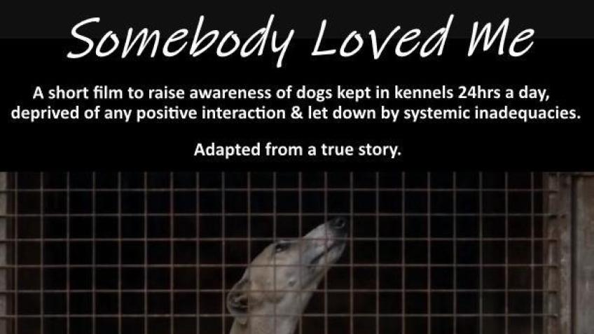 Somebody Loved Me - Dogs in kennels 24hrs a day