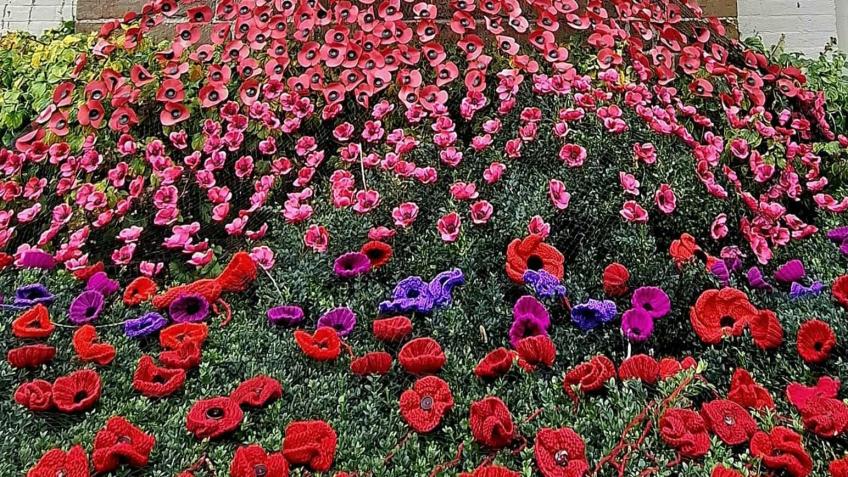 Project Poppy To Remember Those We Loved & Lost
