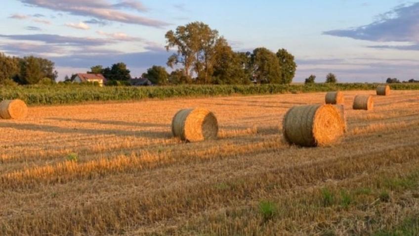 Help Us Build Our Dream on 10 Acres