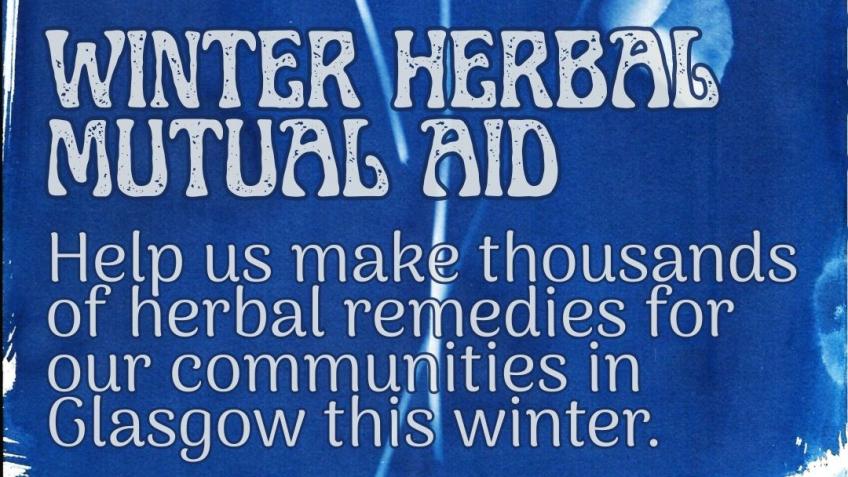 Winter Herbal Mutual Aid