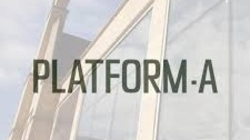 Platform A Gallery: Help us support the space