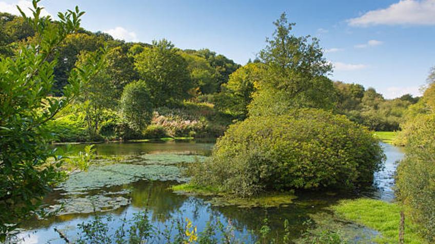 Help defend our National Landscape