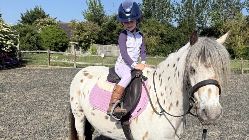 ❤️ Help Jiminy Save His Sight 🐴