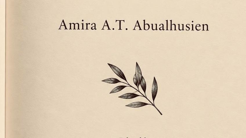 UK Masters Scholarship for Amira