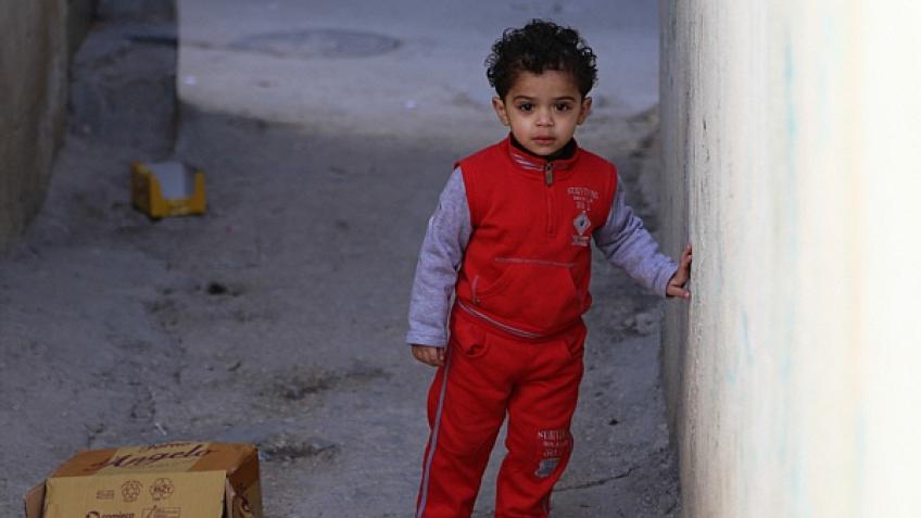 The Children of Palestine