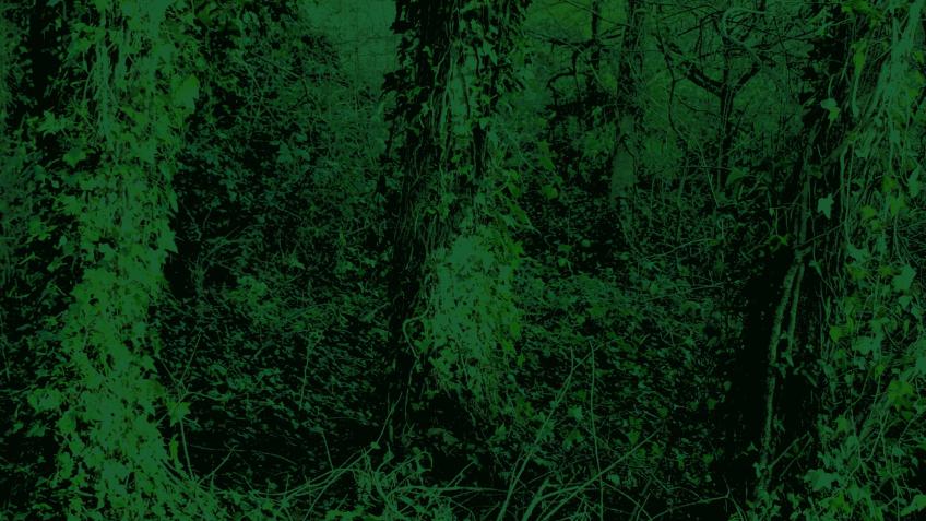 Music Video: Three Wishes by Sad Cypress