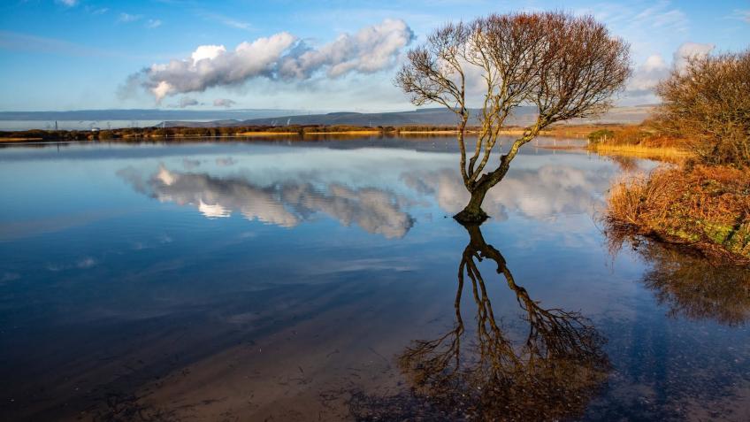 Kenfig Nature Trust