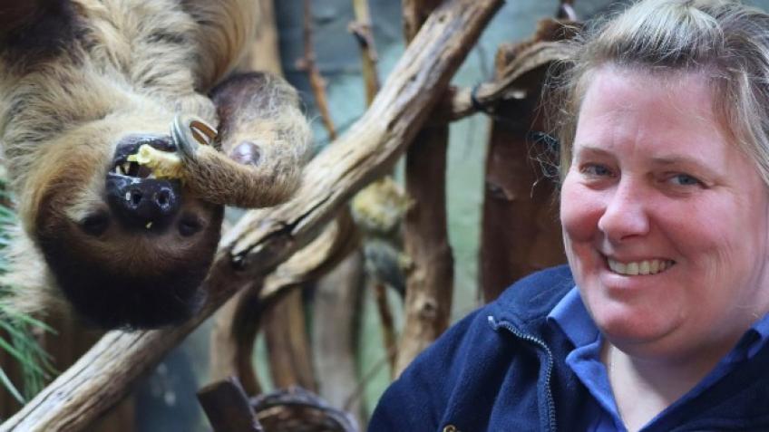 Win A Sloth Encounter & Help Save Wild Sloths