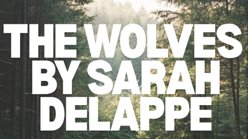 Project Goal Sign 'Doza Theatre Club - The Wolves - a Film and Theatre crowdfunding ...
