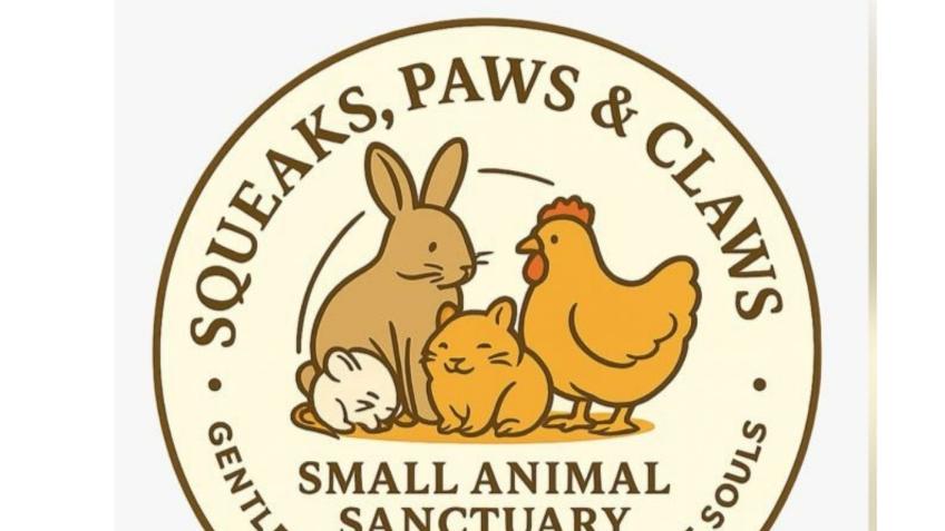 Help Us Build a Safe Haven for the Smallest Souls
