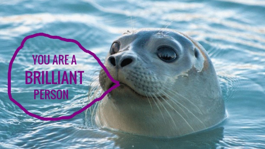 Seal of Approval
