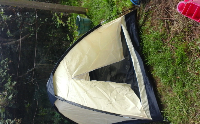 tents for the homeless