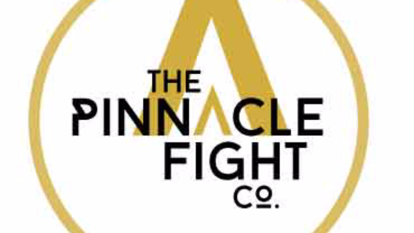 Prototype Manufacture for The Pinnacle Fight Co