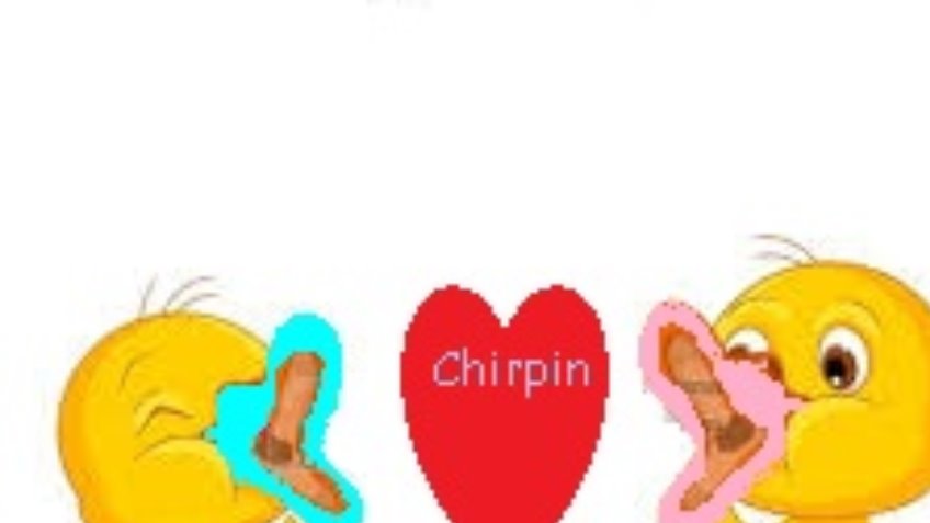 Chirping APP