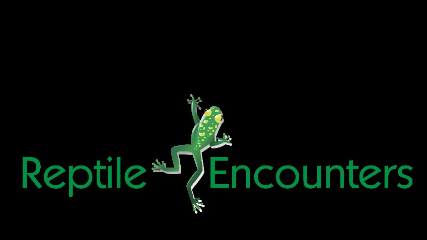 Please Help fund my reptile encounters business