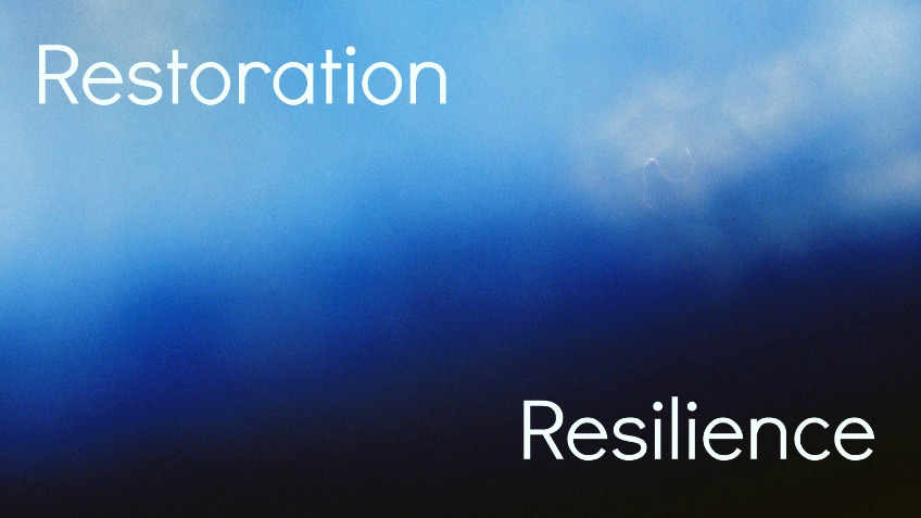 Restoration: Resilience Healing 4 Black Folks/PoC